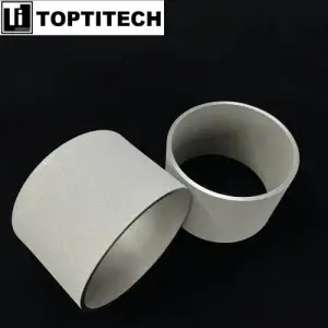 sintered titanium powder filter
